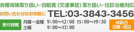 各種保険取り扱い・自賠責（交通事故） 取り扱い・往診治療対応　TEL：03-3843-3456